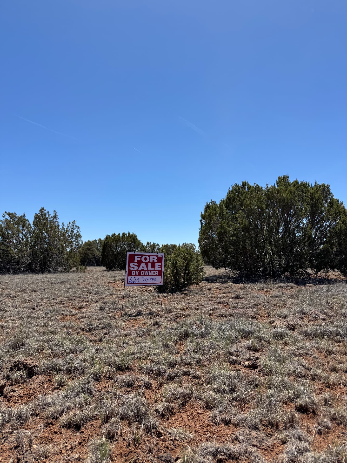 For Sale By Owner sign standing on Lot #11 in Show Low Pines Unit 5, Arizona