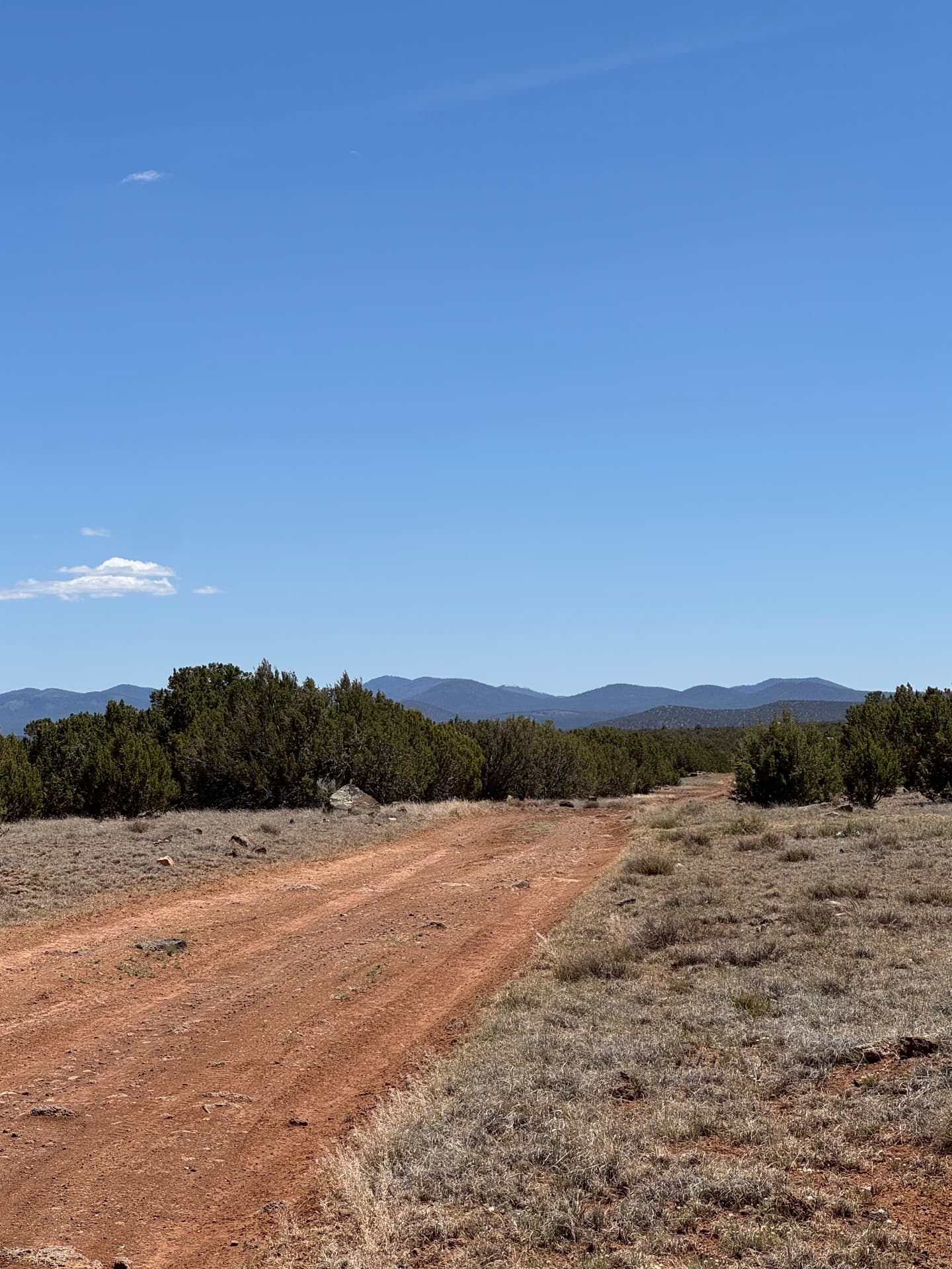 Red dirt road running past juniper trees on Lot #11 with mountain views