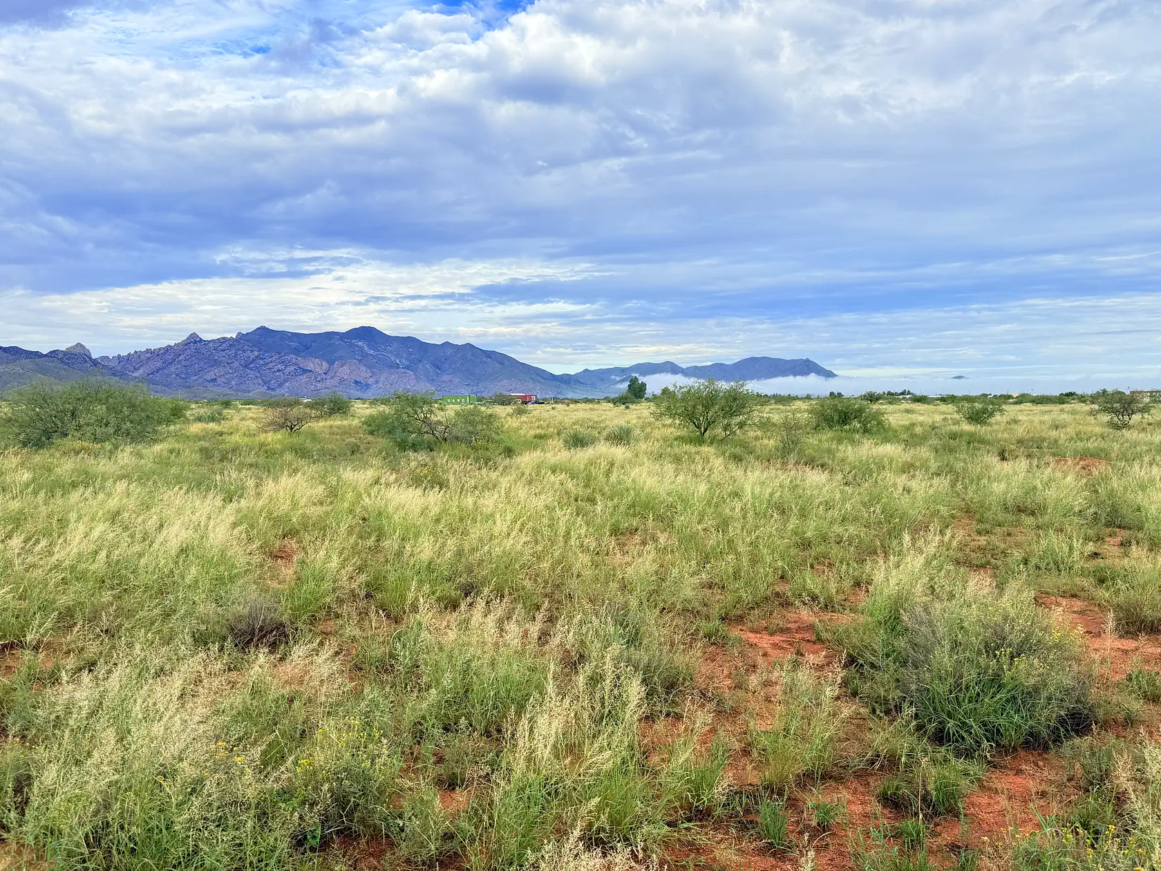 Lush desert grassland on the Sunsites parcel with the mountains rising under a bright cloudy sky