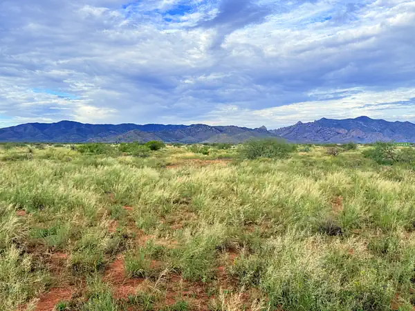 Open grassy terrain on the Sunsites lot with mountains on the horizon