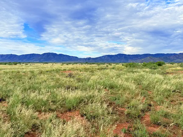 Green desert grasses on red soil with mountain views from the Arizona Sun Sites parcel