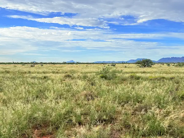 Sweeping high desert grassland with scattered brush and distant peaks on the Arizona Sun Sites parcel